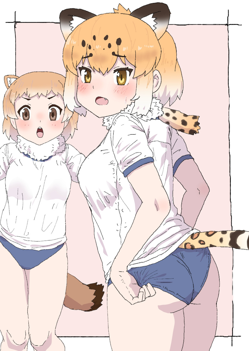 2girls absurdres adjusting_buruma adjusting_clothes animal_ears animal_print ass bare_arms black-tailed_prairie_dog_(kemono_friends) blue_buruma blush border brown_eyes brown_hair buruma extra_ears fang fur_collar fur_scarf furrowed_brow gym_shirt gym_uniform highres jaguar_(kemono_friends) jaguar_ears jaguar_girl jaguar_print jaguar_tail kemono_friends kumasyan1998 looking_at_viewer medium_hair multicolored_hair multiple_girls open_mouth orange_hair outside_border print_scarf scarf shirt short_sleeves standing tail two-tone_hair v-shaped_eyebrows white_border white_hair white_shirt yellow_eyes