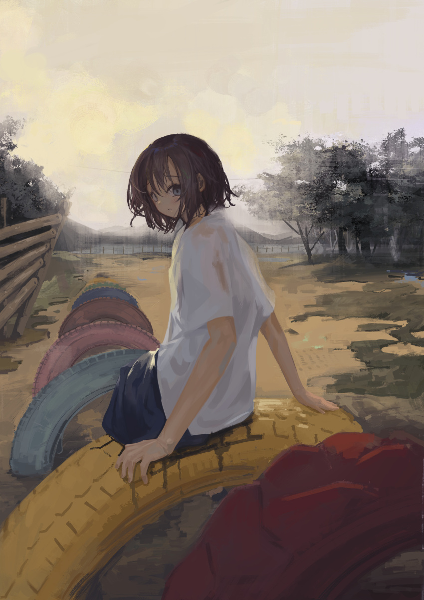 1girl absurdres brown_hair cloud cloudy_sky eliot_(eokaitekaite969) fence grey_eyes highres landscape looking_at_viewer nature no_humans original outdoors playground scenery shirt short_hair sitting sky solo tire tree wide_shot wooden_fence