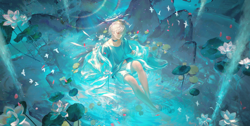 1boy 6890390145 absurdres animal arknights barefoot bird black_choker choker collarbone commentary_request enforcer_(arknights) flower grey_hair grey_shirt hair_over_one_eye halo highres knee_up lily_pad long_hair male_focus red_eyes revision shirt short_sleeves shorts sitting solo water white_flower white_shorts