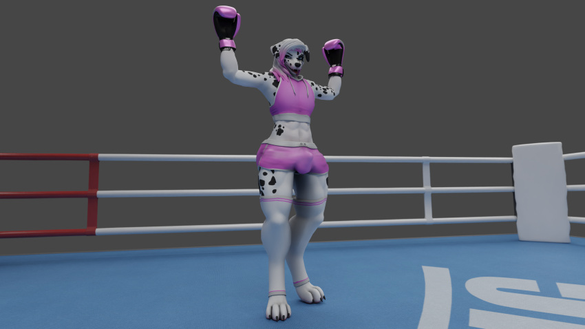 abs absurd_res anthro ashley_(galethehusky) barefoot black_spots blue_eyes bottomware boxing boxing_gloves bulge canid canine canis clothing dalmatian domestic_dog feet fight fighting_ring first_person_view flexing fur galethehusky girly grey_background handwear hi_res huge_filesize knockout legwear looking_at_viewer male mammal markings muscular muscular_male pink_boxing_gloves pink_clothing pink_crop_top pink_hair_tips pink_handwear pink_hotpants simple_background solo sport spots spotted_body spotted_fur standing_over sweater taunting thigh_highs topwear white_body white_clothing white_fur white_legwear white_thigh_highs
