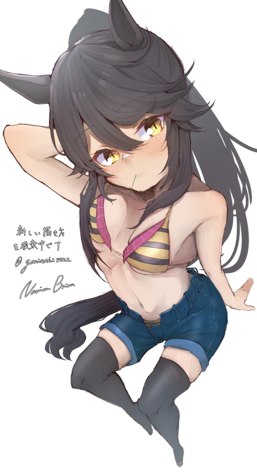 1girl absurdres alternate_costume animal_ears arm_support arm_up armpit_crease armpits bandaid bandaid_on_face bandaid_on_nose black_hair black_thighhighs blush breasts cleavage closed_mouth commentary_request denim denim_shorts gorioshi0802 hair_between_eyes highres horse_ears horse_girl horse_tail long_hair medium_breasts mouth_hold narita_brian_(umamusume) navel no_shoes open_fly ponytail shorts solo stalk_in_mouth tail thighhighs twitter_username umamusume yellow_eyes