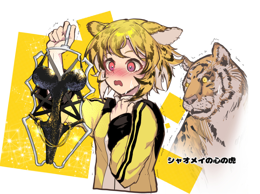 1girl animal_ears black_hair blonde_hair blush clothes_hanger highres jacket multicolored_hair one-piece_swimsuit original red_eyes revealing_clothes ryuu_tou sweatdrop swimsuit tiger tiger_ears tiger_girl trembling two-tone_background two-tone_hair white_background yellow_background yellow_eyes yellow_jacket yellow_theme