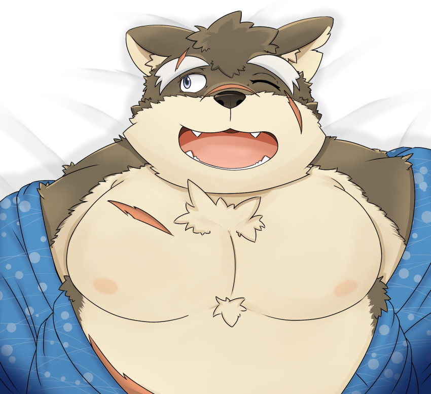anthro asian_clothing belly canid canine canis clothing domestic_dog east_asian_clothing eyebrows facial_scar fur grey_body grey_fur hi_res japanese_clothing kimono lifewonders male mammal moritaka_(tas) musclegut muscular nipples pecs peto3001 scar solo thick_eyebrows tokyo_afterschool_summoners