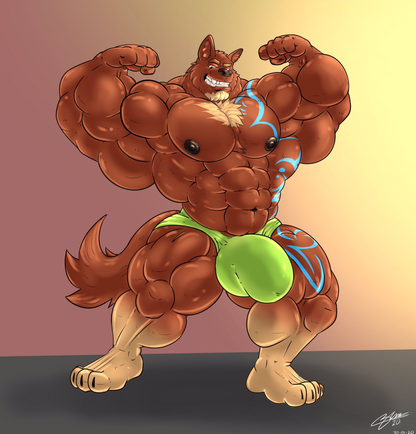 2020 4_toes 5_fingers abs anthro areola biceps big_bulge big_muscles biped brown_body brown_fur bulge canid canine clothed clothing coffeepoomarts eyebrows feet fingers flexing flexing_bicep flexing_both_biceps fur green_clothing green_underwear grin hi_res huge_bulge huge_muscles humanoid_hands leg_markings lock_mckeldrick_(character) male mammal markings muscular muscular_anthro muscular_male mythological_canine mythological_creature mythology nipples pecs plantigrade signature simple_background smile socks_(marking) solo tail toes underwear underwear_only were werecanid werecanine werewolf