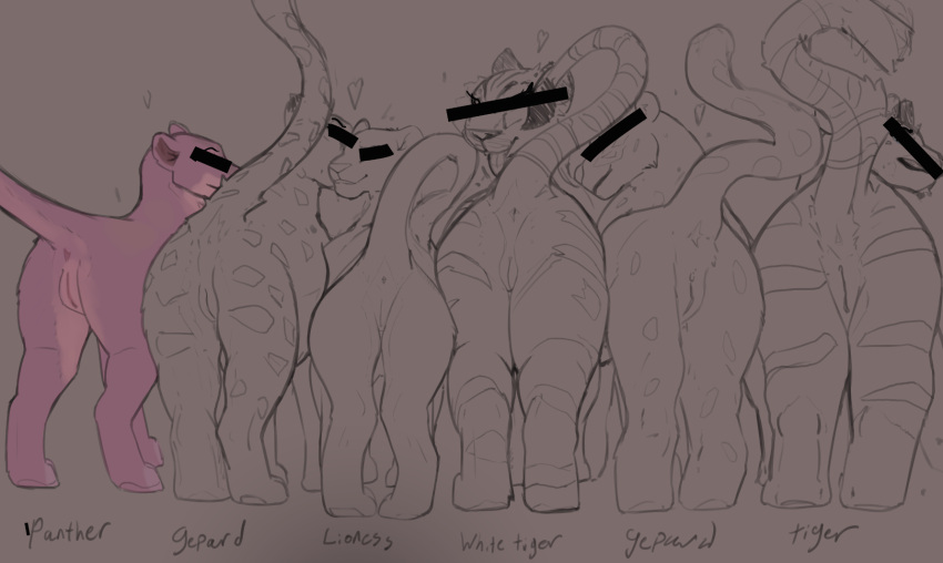 censored_eyes dronecadge felid feline female feral gepard group group_nudity group_photo group_picture hi_res lion mammal pantherine sketch spots squish stripes text tiger