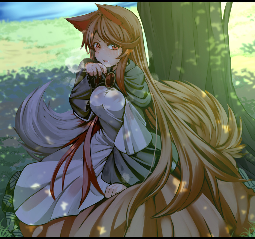 animal_ears blush breasts brooch brown_hair dress fingernails grass imaizumi_kagerou jewelry lake large_breasts long_hair long_sleeves looking_at_viewer nail_polish red_eyes red_nails shade solo sweat tail tamahana touhou tree wide_sleeves wolf_ears wolf_tail