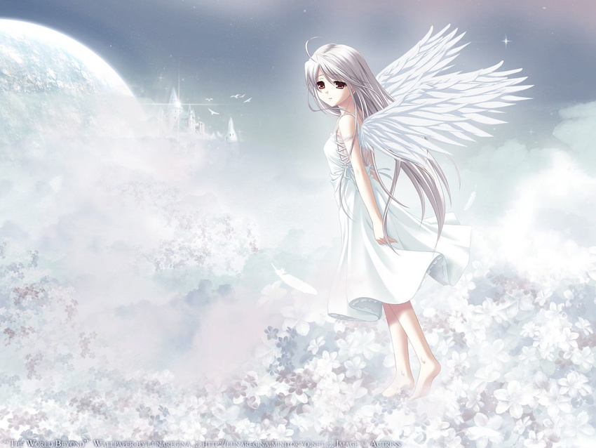 angel_wings artist_request barefoot bird castle cloud flower grey_hair highres long_hair looking_back moon night night_sky planet red_eyes rino_(white_clarity) sky solo star wallpaper white_clarity wings