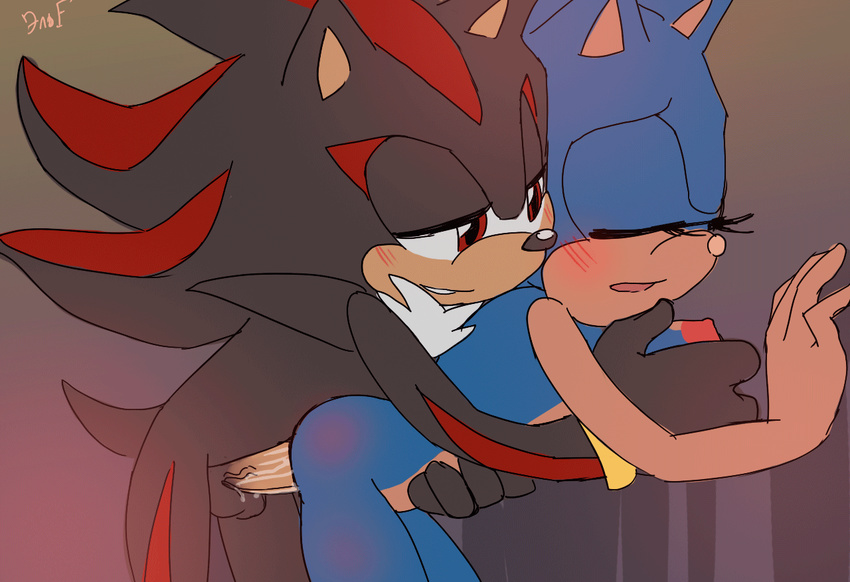 animated blush breasts female hedgehog krazyelf male mammal penetration penis pussy_juice red_eyes sex shadow_the_hedgehog sonic_(series) sonic_the_hedgehog