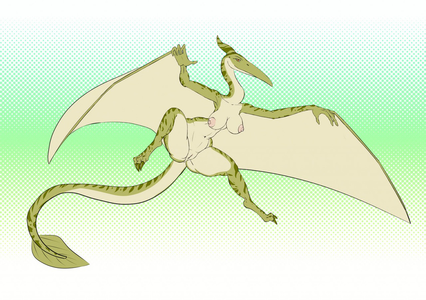 2016 4_fingers anthro anus areola armpits beak big_breasts breasts butt claws dinosaur female green_background green_claws green_horn green_scales horn looking_at_viewer membranous_wings navel nipples nude pink_nipples pteranodon pussy rhamphorhynchus sanfingulipunrapin scales scalie simple_background smile solo stripes thick_thighs toe_claws wide_hips wings yellow_eyes