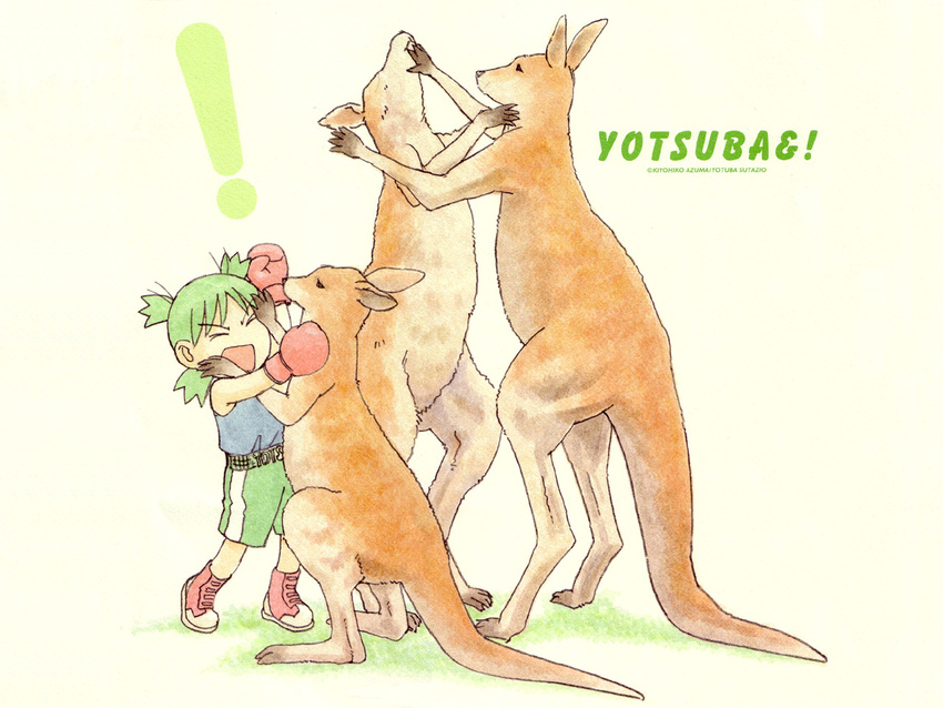 azuma_kiyohiko boxing kangaroo koiwai_yotsuba mammal marsupial plain_background wallpaper white_background yotsuba yotsubato!