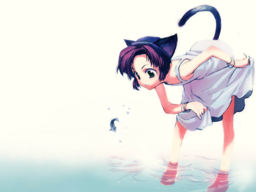 animal_ears artist_request bare_shoulders barefoot cat_ears copyright_request dress fish flat_chest green_eyes purple_hair short_hair skirt_hold solo tail water