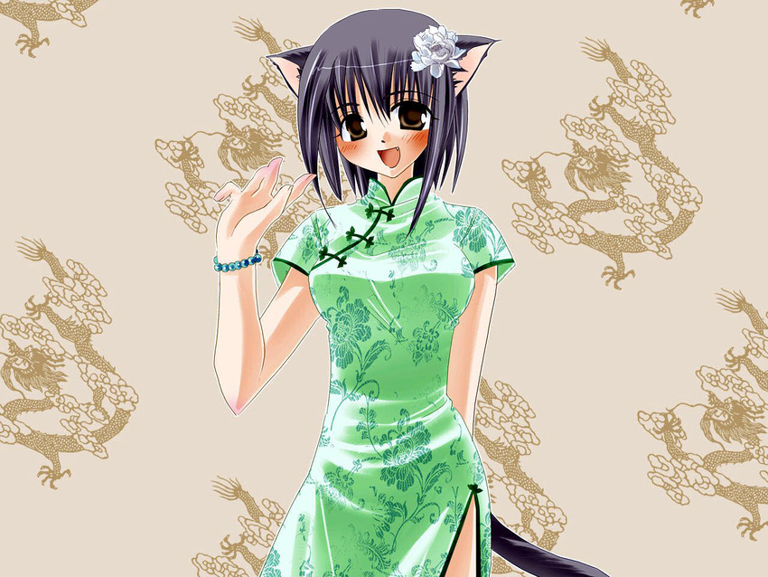 animal_ears blush catgirl chinese_dress tagme tail