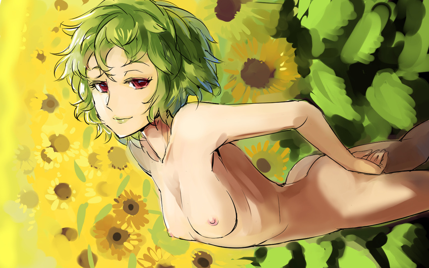 alternate_breast_size ass back backlighting breasts collarbone cowboy_shot day flower from_side garden_of_the_sun green_hair green_lipstick half-closed_eyes kazami_yuuka lipstick looking_at_viewer makeup nipples nude perspective red_eyes short_hair sinzan small_breasts smile solo sunflower thighs touhou