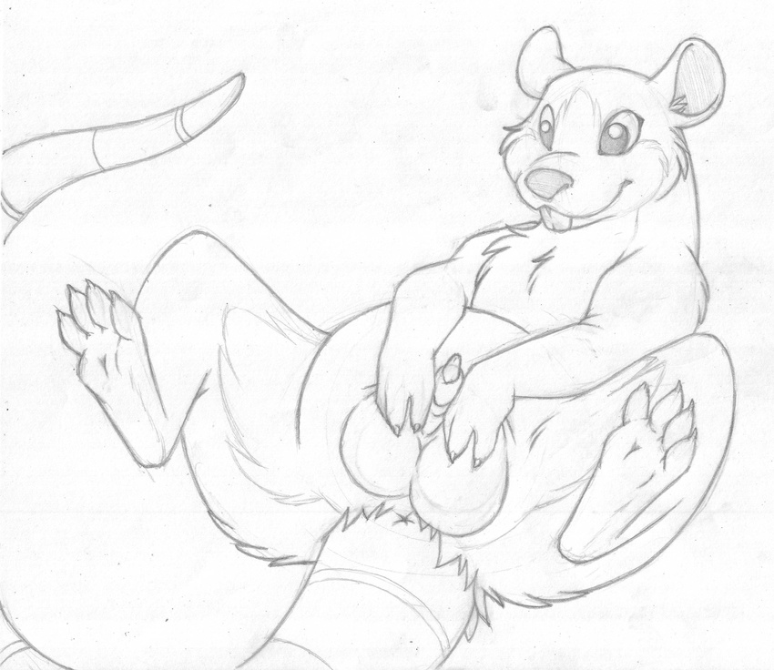 animal_genitalia anus balls big_balls buckteeth butt greyscale holding_balls line_art male mammal mizzyam monochrome pencil_(artwork) penis penis_tip presenting presenting_hindquarters rat reclining rodent semi-anthro sheath slightly_chubby smile solo spread_legs spreading teeth traditional_media_(artwork)