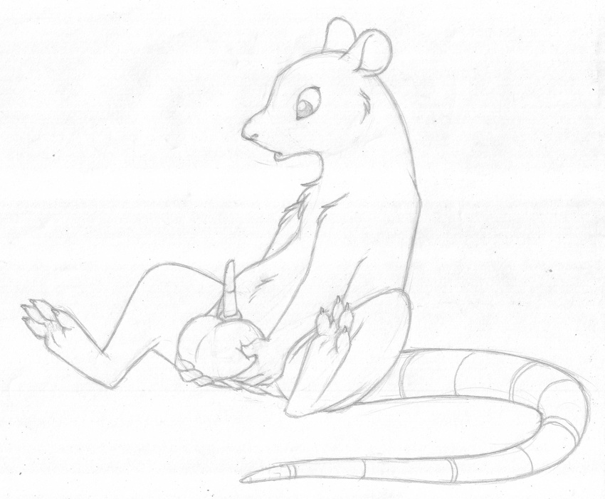 animal_genitalia anthro balls big_balls erection greyscale holding_balls long_tail looking_at_self looking_down male mammal mizzyam monochrome pencil_(artwork) penis rat reclining rodent semi-anthro sheath sitting solo tapering_penis traditional_media_(artwork)