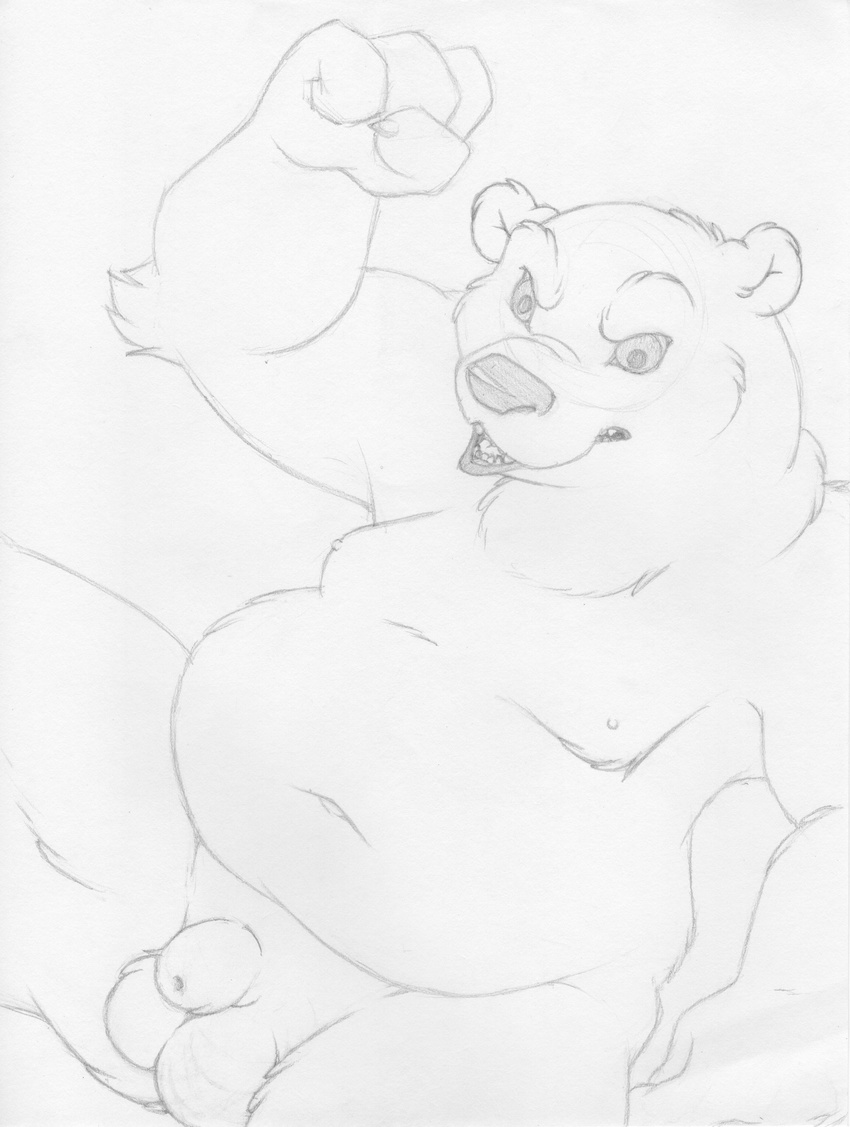 angry animal_genitalia anthro balls bear fist fully_sheathed greyscale line_art looking_at_viewer male mammal mizzyam monochrome moobs musclegut navel nipples nude overweight_male pencil_(artwork) raised_arm sheath sitting solo traditional_media_(artwork)