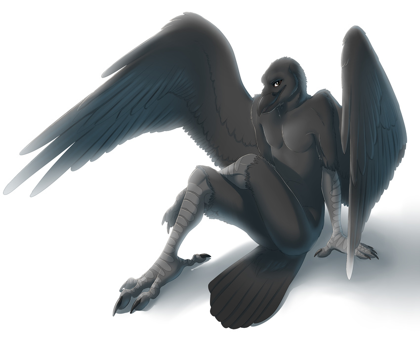 avian beak bird corvid crow feathers invalid_color loiosh nude solo talons thewhitefalcon