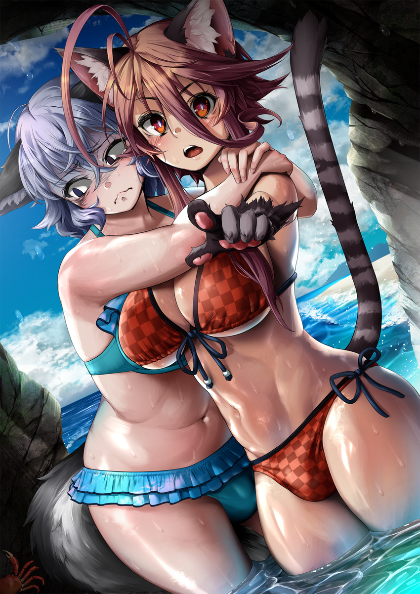 abs animal_ears asagaya_rin bikini blue_bikini blue_eyes blue_hair blush breasts bulge cat_ears cat_paws cat_tail cave checkered checkered_bikini cleavage crab futanari highres hug huge_breasts multiple_girls ocean original paws scared short_hair swimsuit tail teeth thighhighs wet yagatake_arashi yana_(nekoarashi)