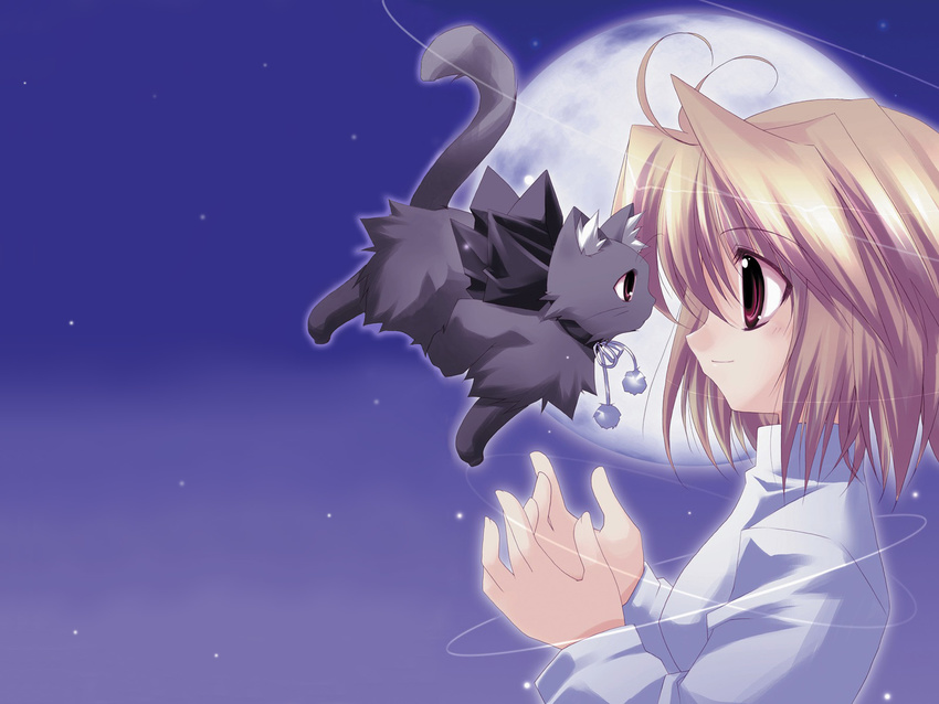 arcueid_brunestud cat moon ren shingetsutan_tsukihime