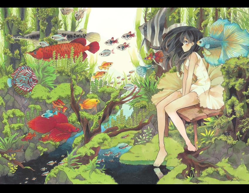 absurdres angelfish bangs bare_legs bare_shoulders barefoot beige_dress between_legs black_hair blush carp day dress fish fish_request floating_hair flying_fish from_side hand_between_legs highres letterboxed long_hair looking_to_the_side moss nature original outdoors purple_eyes reflection seaweed siamese_fighting_fish sitting sleeveless sleeveless_dress solo stream surreal traditional_media tree_stump umezakura v_arms water