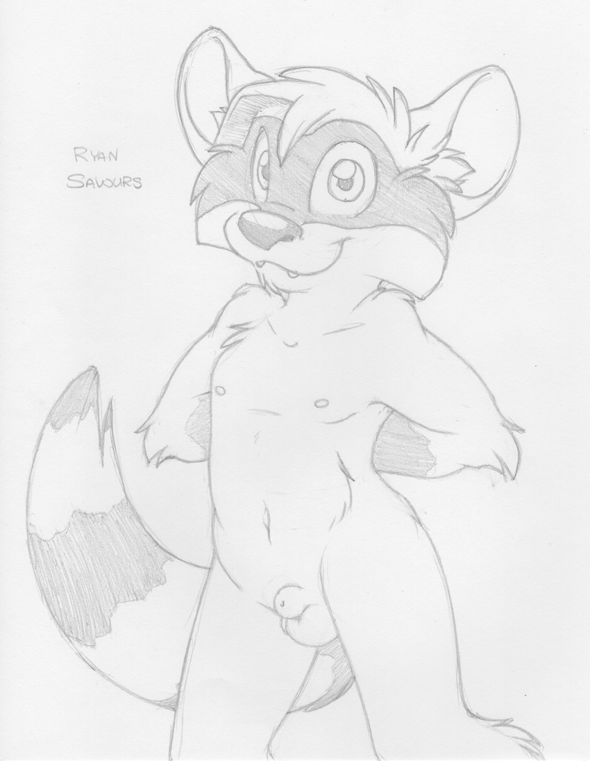 animal_genitalia anthro balls cub cute_fangs english_text fully_sheathed greyscale hands_behind_back line_art looking_at_viewer male mammal mizzyam monochrome navel nipples pencil_(artwork) raccoon ryan_savours sheath smile solo text traditional_media_(artwork) young