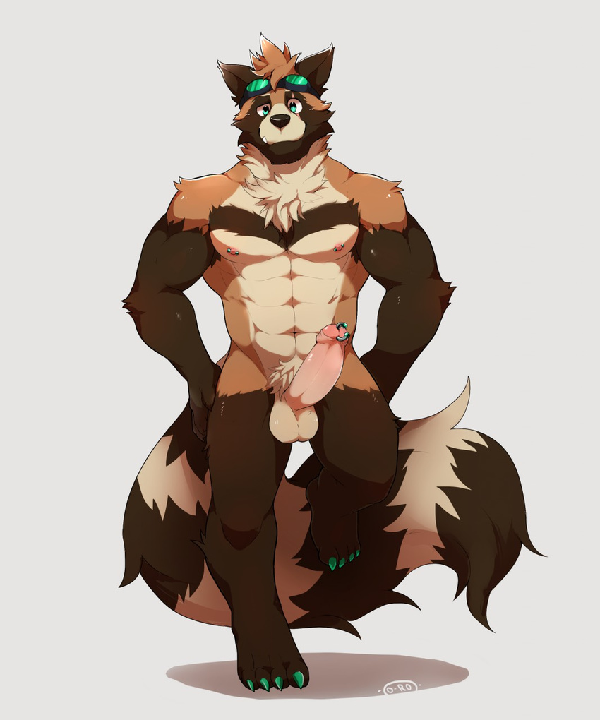 balls blue_eyes brown_fur chest_tuft claws eyewear fur genital_piercing goggles male mammal muscular nipple_piercing nipples o-ro penis penis_piercing piercing prince_albert_piercing pubes snaggletooth solo tanuki tuft uncut