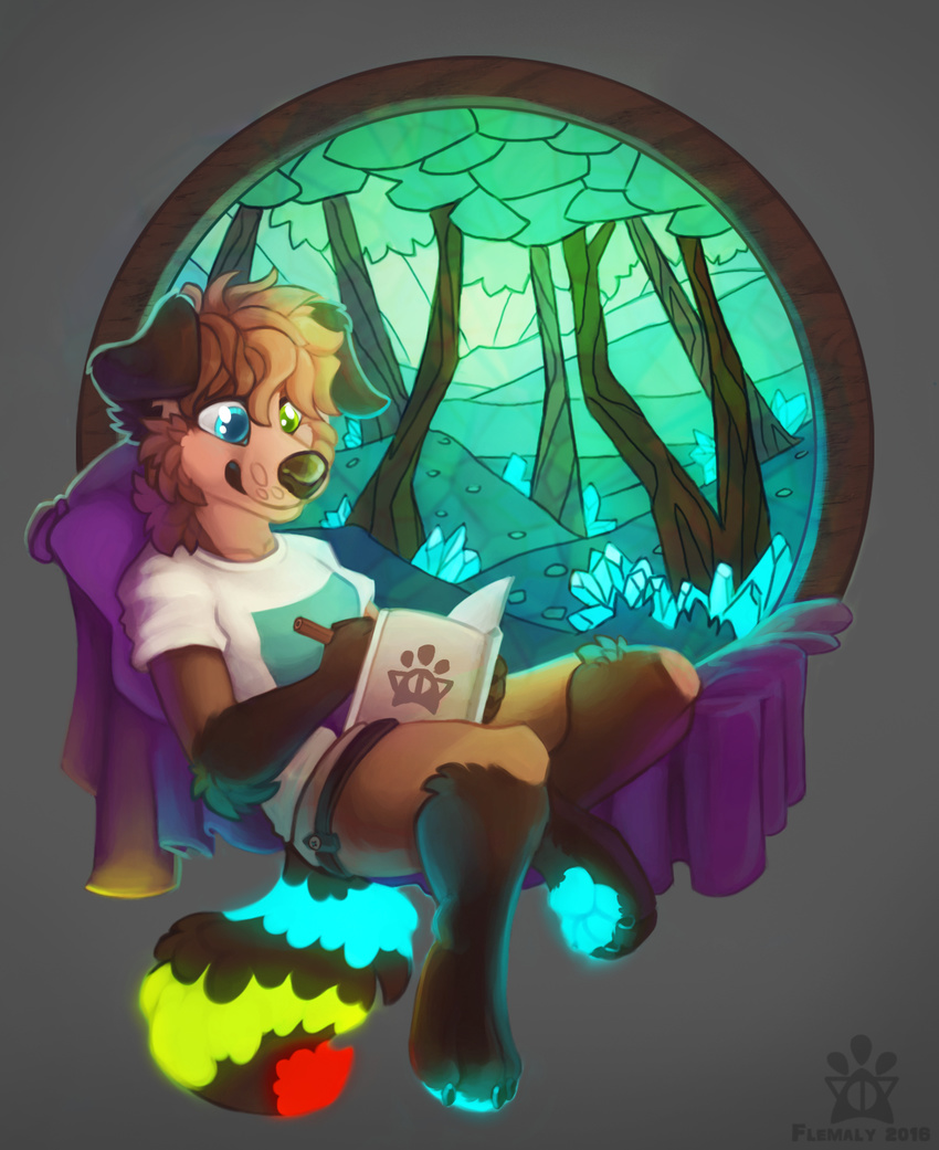 2016 4_toes anthro aurin_rei_(flemaly) blue_eyes blue_tail book breasts brown_fur brown_hair brown_nose brown_tail canine cheek_tuft clothed clothing countershading dog drawing elbow_tufts female flemaly floppy_ears forest fully_clothed fur glowing glowing_pawpads glowing_tail green_eyes hair heterochromia holding_object mammal multicolored_fur multicolored_tail pawpads pencil_(object) pillow red_tail shirt short_hair shorts signature sitting smile solo toes tree tuft two_tone_fur yellow_tail