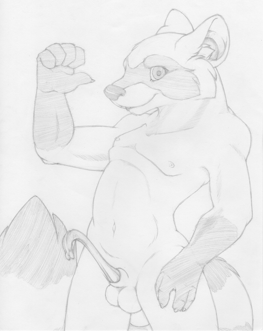 animal_genitalia animal_penis anthro arched_back balls curved_penis greyscale hand_on_hip hitchhiking looking_at_viewer male mammal mizzyam monochrome navel nipples nude pecs pencil_(artwork) penis pinup portrait pose raccoon raccoon_penis raised_arm sheath smile solo three-quarter_portrait traditional_media_(artwork)