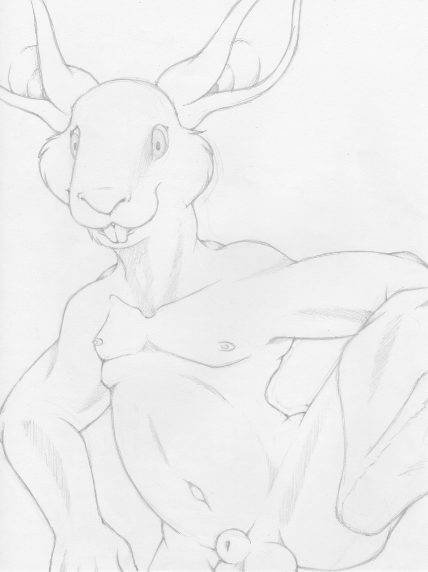 animal_genitalia anthro balls barefoot buckteeth front_view fully_sheathed greyscale half-length_portrait lagomorph looking_at_viewer male mammal mizzyam monochrome navel nipples nude one_leg_up pencil_(artwork) pinup portrait pose rabbit shaded sheath slim smile solo teeth traditional_media_(artwork)