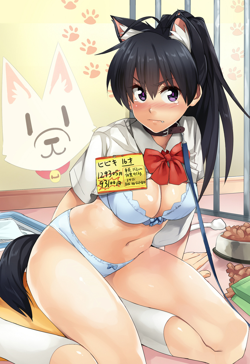 animal_ears bra ganaha_hibiki pantsu sheairkuaki tail the_idolm@ster