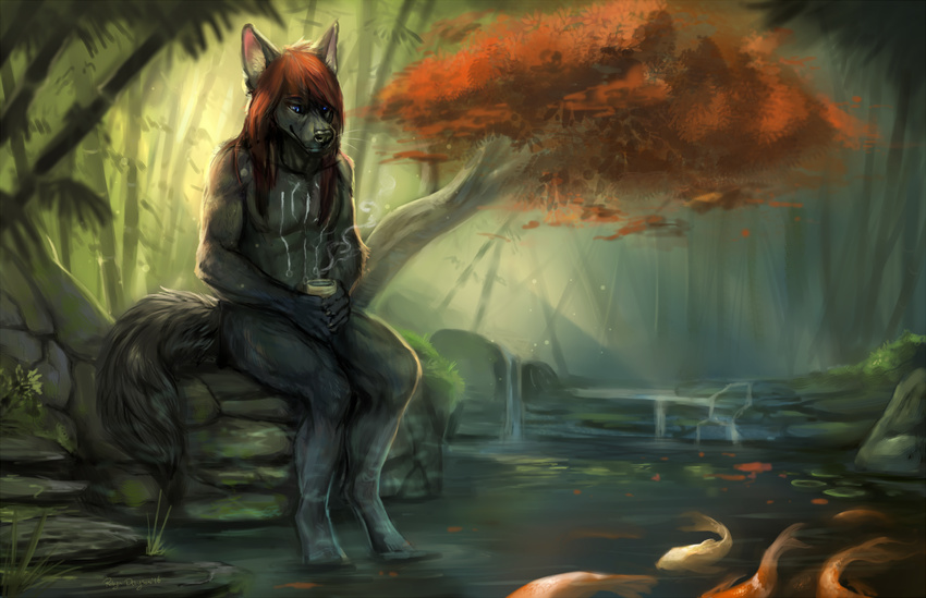5_fingers anthro bamboo beverage black_nose blue_eyes brown_hair canine creek day detailed_background fish fluffy fluffy_tail forest fur grey_fur group hair hi_res inner_ear_fluff koi male mammal marine nude outside partially_submerged pond rhyu smile solo steam tea tree water wolf