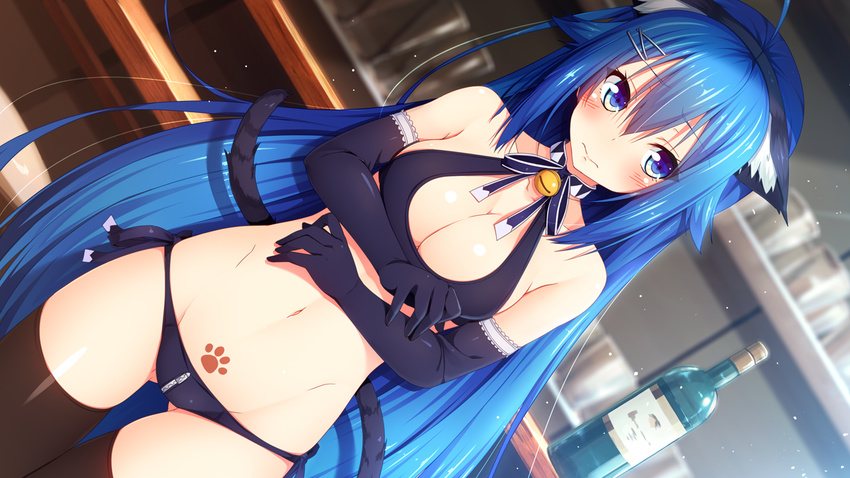 animal_ears aristear_remain bell bell_choker black_bra black_gloves black_legwear blue_eyes blue_hair blush bottle bra breasts cat_ears cat_tail choker cleavage crotch_zipper dutch_angle elbow_gloves embarrassed fake_animal_ears furukawa_mai game_cg glass gloves hair_ornament hairband hairclip long_hair looking_away medium_breasts panties paw_print pubic_tattoo rozea_(graphmelt) side-tie_panties solo tail tattoo thigh_gap thighhighs underwear very_long_hair zipper