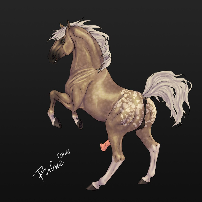 2016 anatomically_correct anatomically_correct_anus anatomically_correct_penis animal_genitalia animal_penis anus backsack balls black_background brown_eyes brown_fur digital_media_(artwork) equine equine_penis erection feral fur hi_res hooves horse looking_at_viewer male mammal mane multicolored_fur on_hind_legs penis perineum puffy_anus quadruped raised_tail rufciu signature simple_background solo underhoof vein veiny_penis white_fur