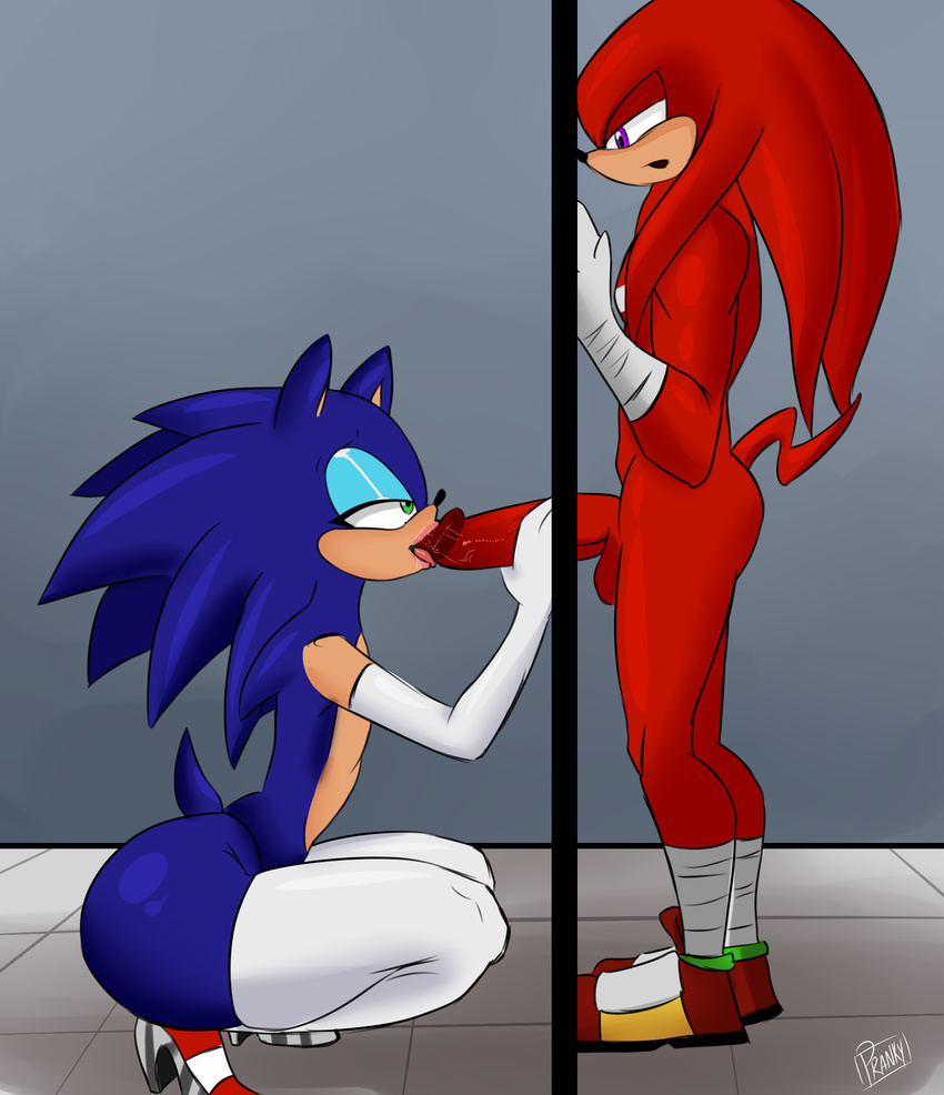 balls big_penis bit_butt clothing eyeshadow fellatio girly glory_hole knuckles_the_echidna legwear makeup male male/male oral penis pranky red_balls red_penis sex sonic_(series) sonic_the_hedgehog stockings story story_in_description thick_thighs