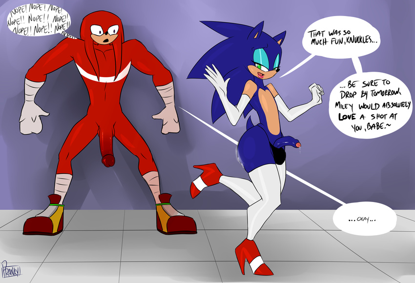 balls big_penis bit_butt blue_penis clothing cum eyeshadow girly glory_hole knuckles_the_echidna legwear makeup male male/male penis pranky red_balls red_penis sonic_(series) sonic_the_hedgehog stockings story story_in_description