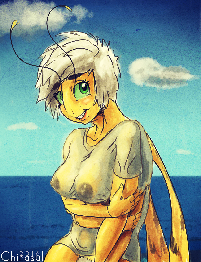 2016 4_arms antennae anthro antlion areola arsenia arthropod big_breasts bottomless breasts chirasul clothed clothing cloud detailed_background digital_media_(artwork) erect_nipples female freckles green_eyes hair hi_res insect looking_at_viewer multi_arm multi_limb nipples outside pubes seaside shirt sky smile solo standing threadwing_antlion translucent transparent_clothing water watermark wet_shirt wings