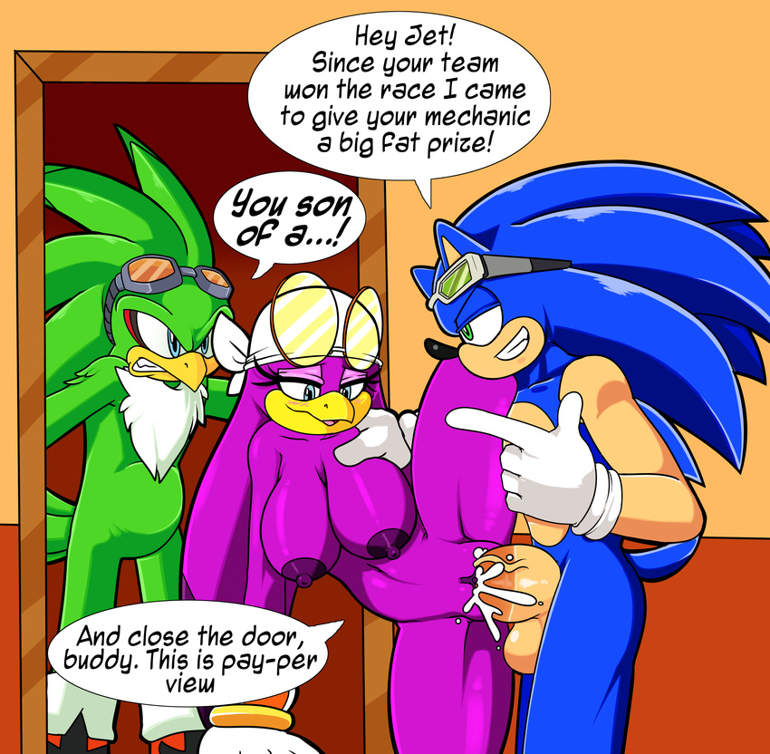 avian big_breasts bird breasts cum cum_in_pussy cum_inside dreamcastzx1 female hawk hedgehog huge_breasts huge_penis jet_the_hawk male male/female mammal penis sonic_(series) sonic_riders sonic_the_hedgehog swallowing viktor2 wave_the_swallow