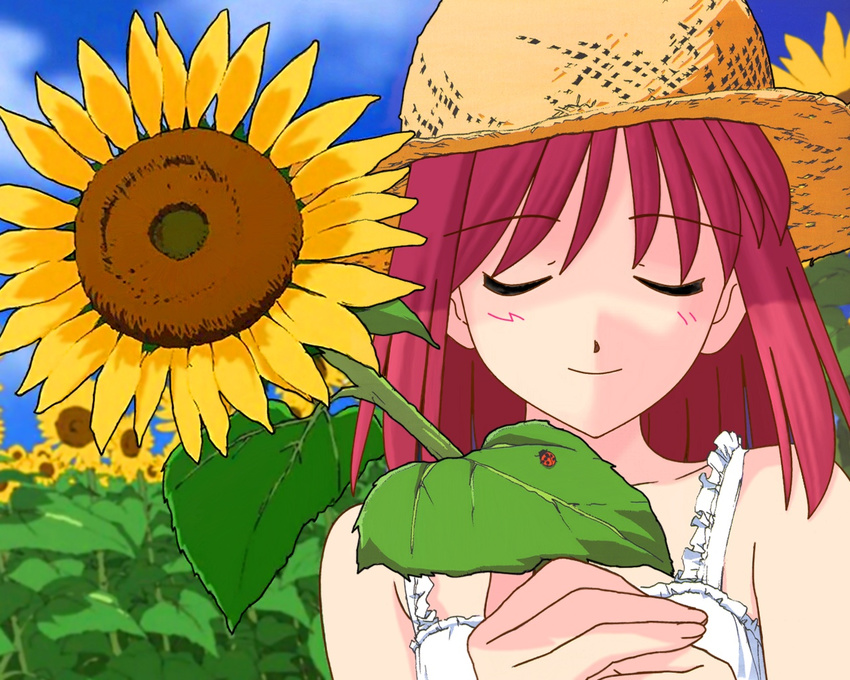 artist_request bug closed_eyes day dress flower hat holding holding_flower insect kohaku ladybug red_hair solo straw_hat sundress sunflower tsukihime