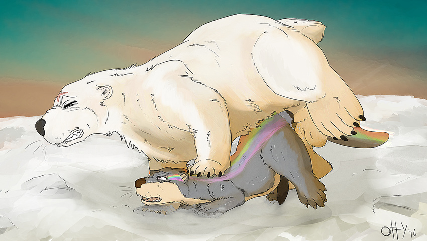 anal animal_genitalia balls bear black_lips cum feral haswell invalid_background mammal mustelid open_mouth otter otterlike paws penis polar_bear rainbow sheath size_play