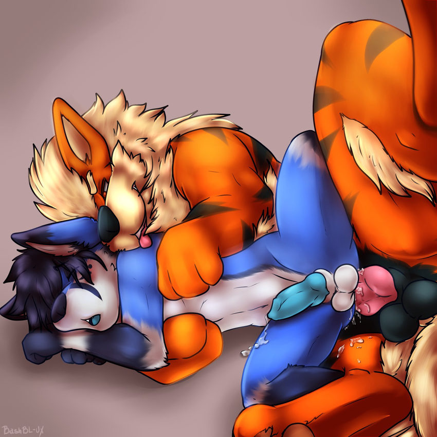animal_genitalia animal_penis anthro anthro_on_feral arcanine balls bashbl-ux bestiality blue_fur canine canine_penis cum cum_in_ass cum_inside cum_while_penetrated eyes_closed feral fox from_behind_position fur hands-free knot looking_pleasured male male/male mammal moan nintendo one_leg_up orgasm penetration penis pok&eacute;mon precum sex video_games
