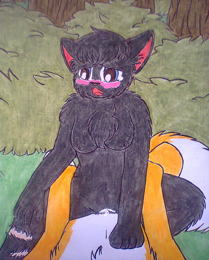 2016 anthro black_nose blackcatz blue_eyes blush breasts bushes cat cinderpelt_(warriors) cowgirl_position cum cum_in_pussy cum_inside detailed_background digital_media_(artwork) duo feline female feral feral_on_feral firestar_(warriors) fluffy fluffy_tail forest forrest fur grass grey_fur hair hi_res long_fur male male/female mammal moan nude on_top open_mouth orange_fur orgasm outside paws penetration pussy red_fur scar sex sky tongue tree vaginal vaginal_penetration warriors_(cats) white_fur