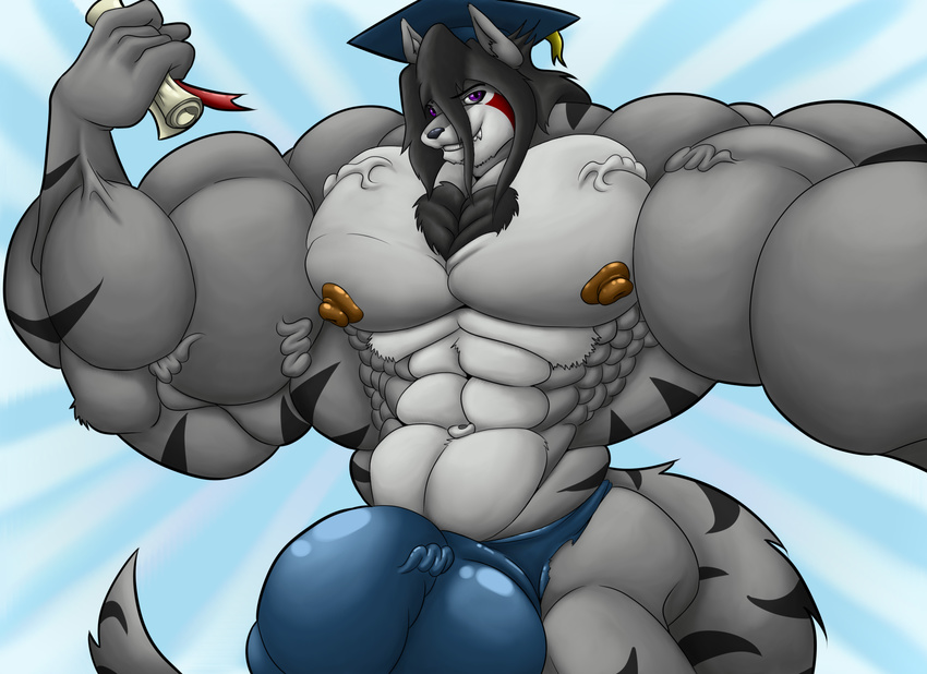 bulge clothing college diploma flexing graduation hat hyper hyper_bulge muscular nipples novra_(artist) pecs school speedo swimsuit tigerwolf wolfger wolfgerlion64