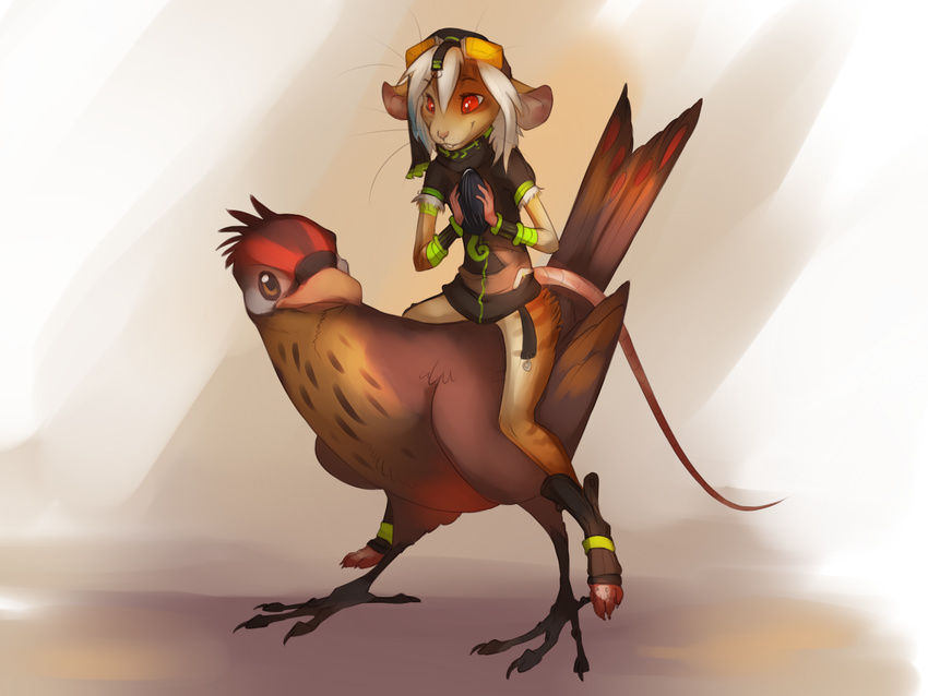 4_toes akineza anthro avian beak bird brown_eyes clothed clothing duo feathered_wings feathers feral mammal mouse nude pink_nose red_eyes rodent smile teeth toes wings