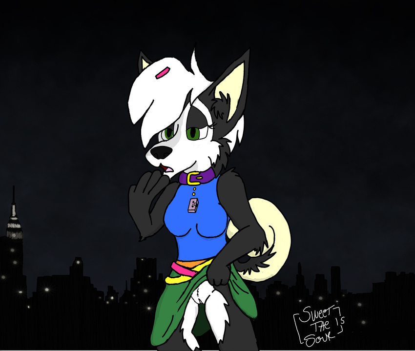 1980s 2015 80's 80s anthro breasts canine cassette_tape clothed clothing clothing_lift collar dog female fur hair hairclip hi_res husky invalid_tag koniko lazy looking_at_viewer mammal open_mouth presenting pussy simple_background skirt solo sweetthesour tag teeth