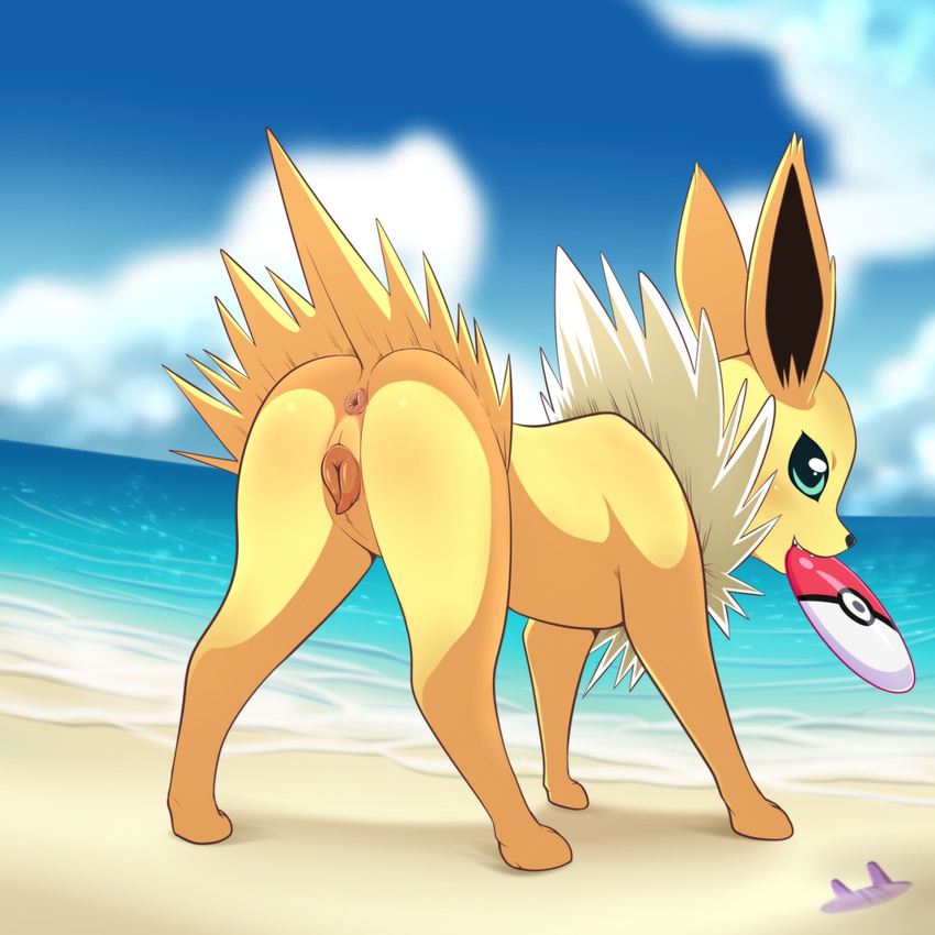 2016 animal_genitalia animal_pussy anus beach blush butt canine_pussy eeveelution female feral frisbee happy jolteon lonbluewolf nintendo pok&eacute;mon pussy sand sea seaside solo video_games water