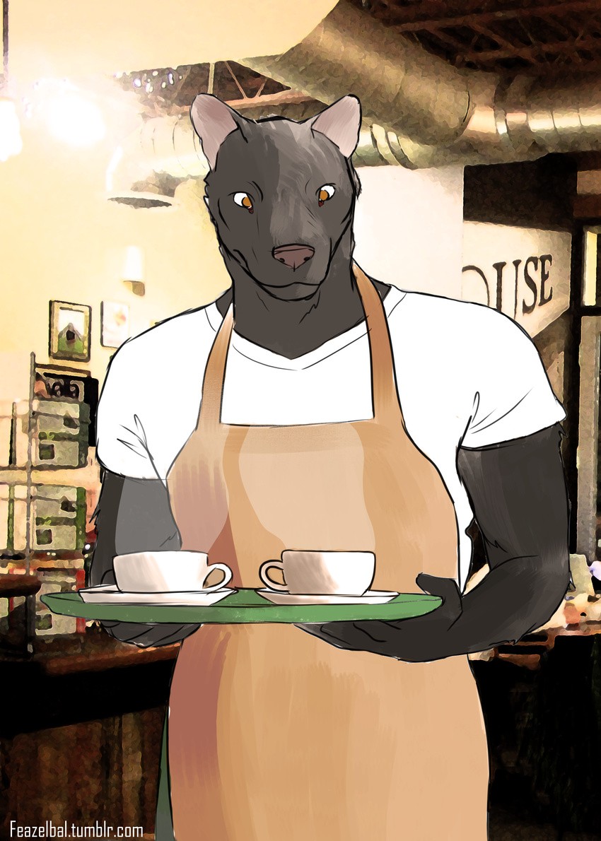 apron barista beverage cafe canine clothing coffee drinks feazelbal mammal restaurant steam tagme tray waiter wolf