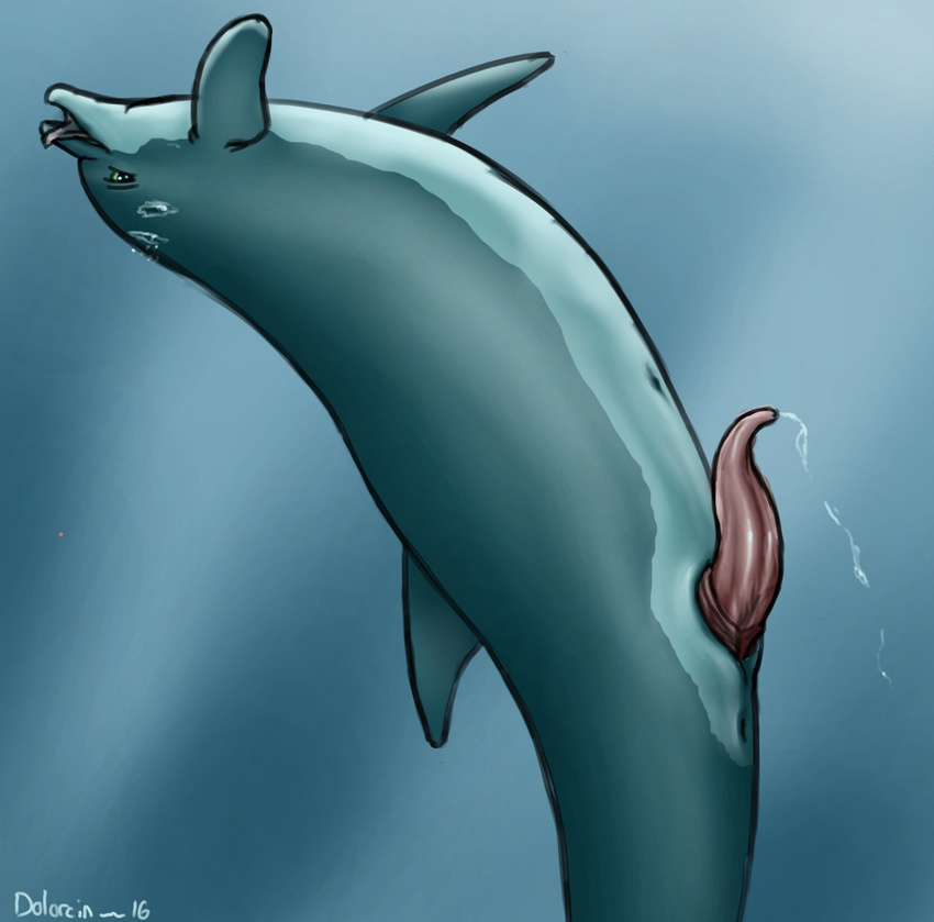 animal_genitalia anus bubble cetacean dolorcin feral fin genital_slit green_eyes leaking male mammal marine penis precum simple_background slit solo tapering_penis underwater water