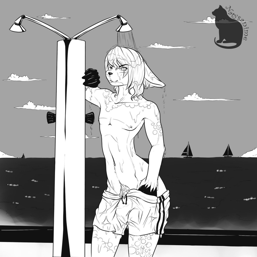 anthro board_shorts bulge feline looking_at_viewer male mammal monochrome natysanime outside pubes shower smile solo standing teasing wet