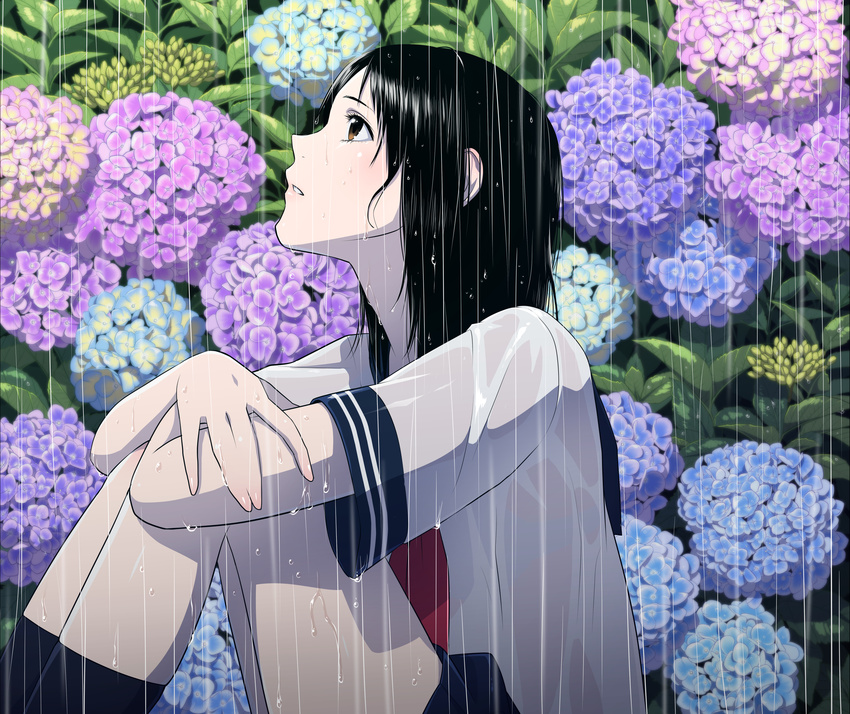 absurdres black_hair black_legwear brown_eyes flower highres hydrangea kalua kneehighs knees_up leg_hug long_hair looking_up neckerchief original parted_lips pink_lips plant rain school_uniform serafuku shirt short_sleeves sitting skirt solo water_drop wet wet_clothes wet_hair wet_shirt