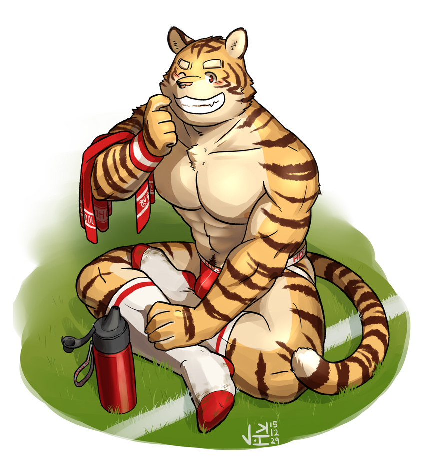 blush body_hair brown_fur bulge clothing feline fur grass grin happy_trail jeck jockstrap legwear mammal muscular one_eye_closed red_eyes simple_background sitting socks tan_fur tiger towel underwear waterbottle